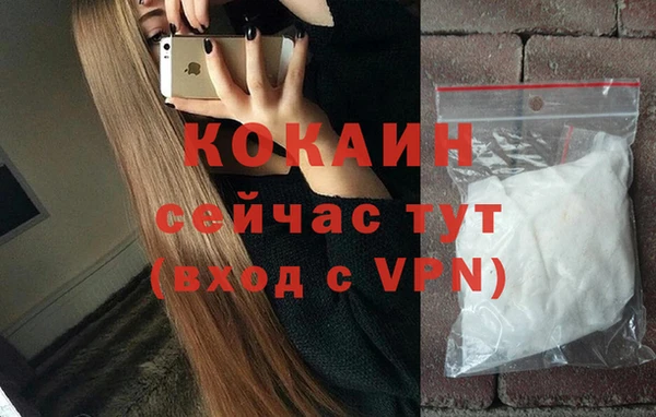 ешки Алексин