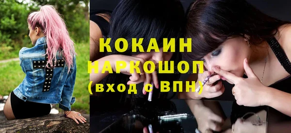 ешки Алексин
