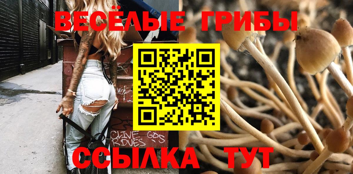 Псилоцибиновые грибы Magic Shrooms Сосновый Бор
