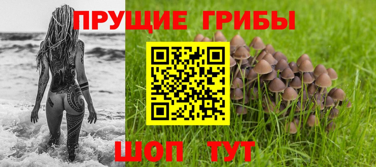Галлюциногенные грибы GOLDEN TEACHER  Псилоцибиновые грибы ЛСД  Вход с VPN  Сосновый Бор 