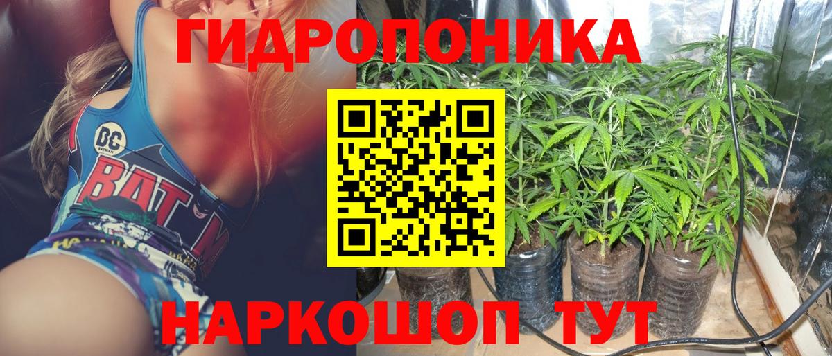 Конопля марихуана  Бошки Шишки семена  Марихуана конопля  Канабис LSD WEED  Сосновый Бор  Вход с VPN 